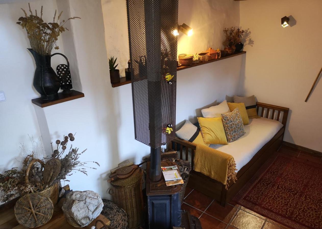 Vila Toca Do Esquilo - Montesinho Montezinho Exteriér fotografie
